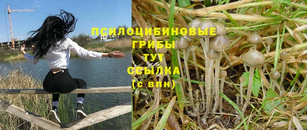 кокаин Алексеевка