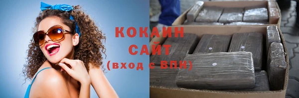 соль ск Алзамай