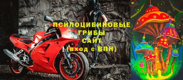соль ск Алзамай