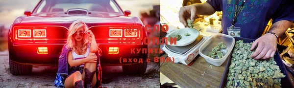 ГАЛЛЮЦИНОГЕННЫЕ ГРИБЫ Алексин